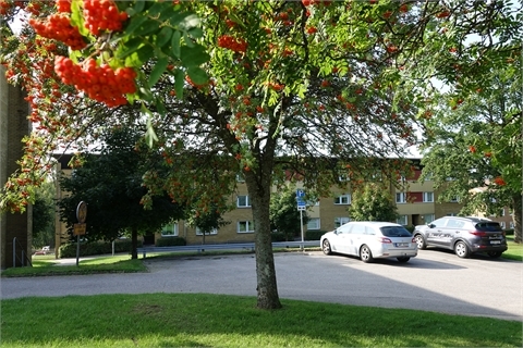 /Global/DisplayMultimediaDescription.ashx?guid=269356cc-0c27-4f15-867f-6055deed329f