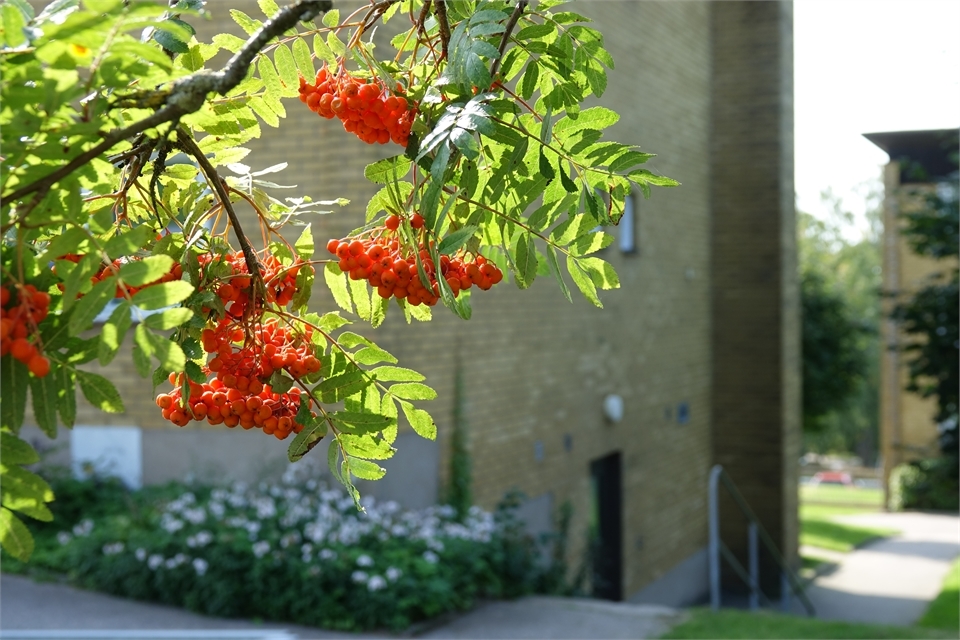 /Global/DisplayMultimediaDescription.ashx?guid=5048974e-7504-4d55-8a17-f203fce38156